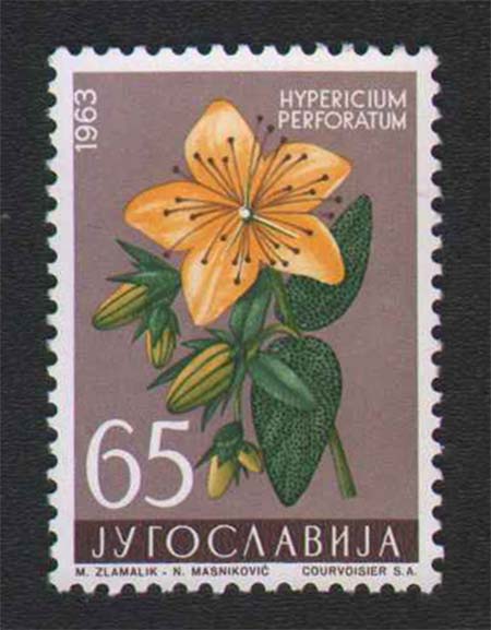 kantarion 1963 godina kantarion 1963 godina